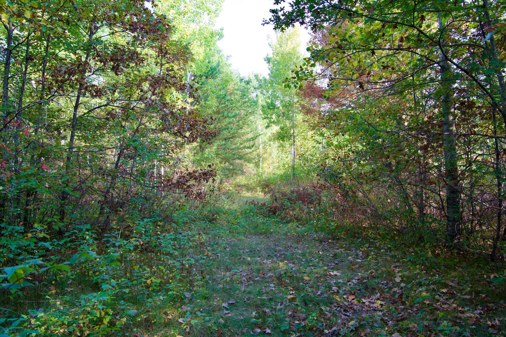 land for sale at 21.8 Acres Hwy 371 in Brainerd, MN (photo 12 of 17)