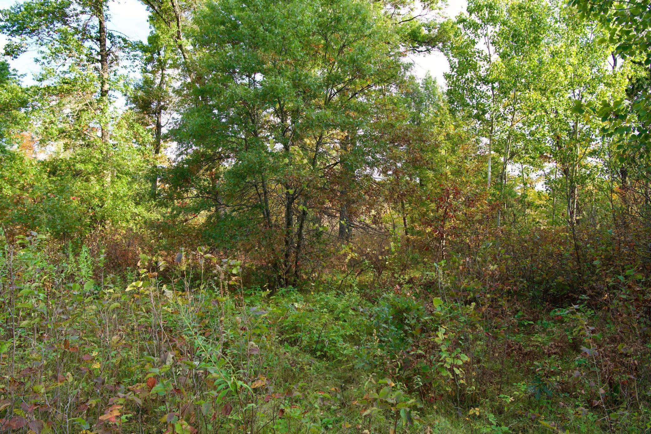 land for sale at Tract C Hwy 371 in Brainerd, MN (photo 5 of 17)