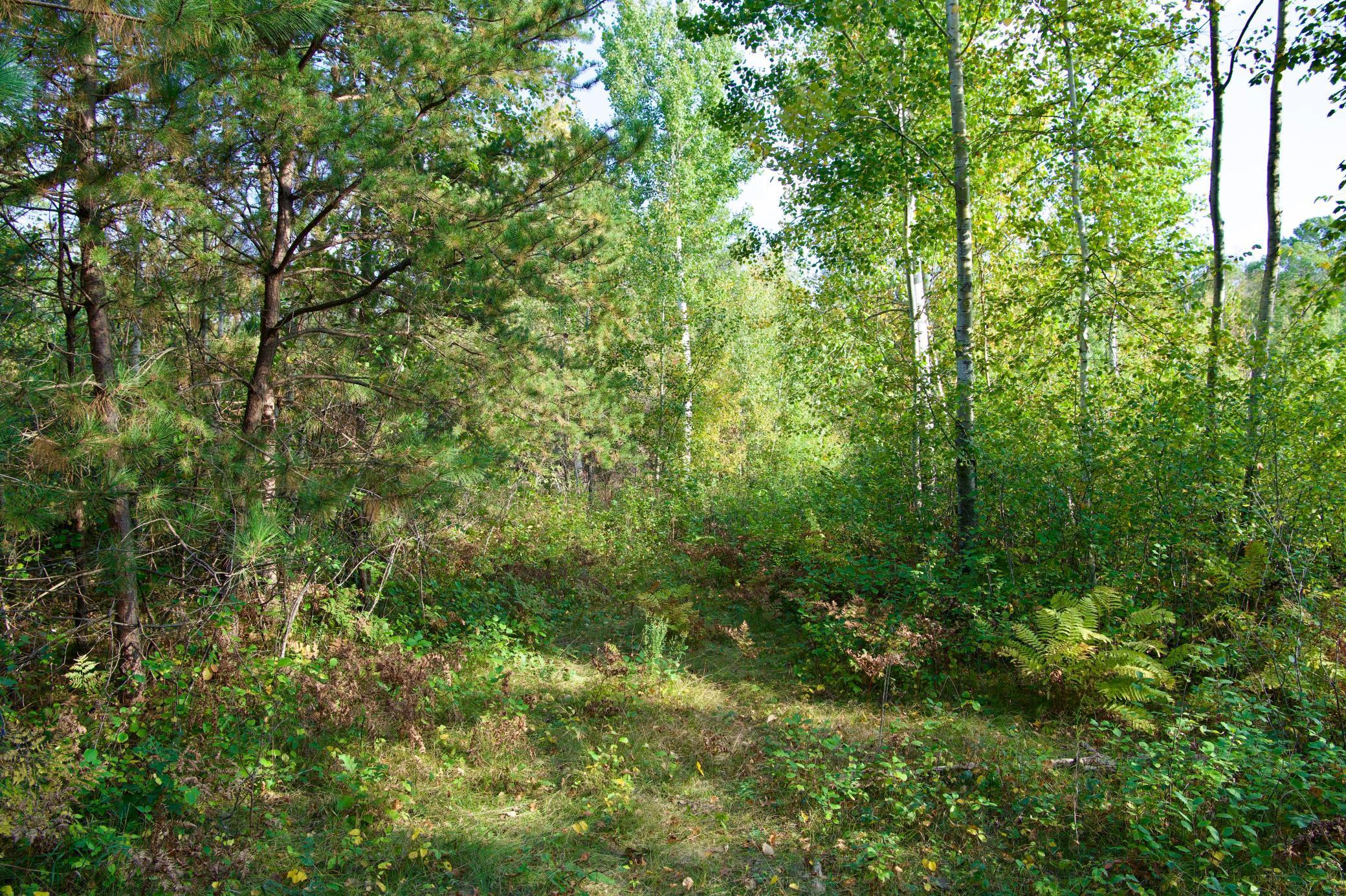 land for sale at Tract A Hwy 371 in Brainerd, MN (photo 11 of 17)