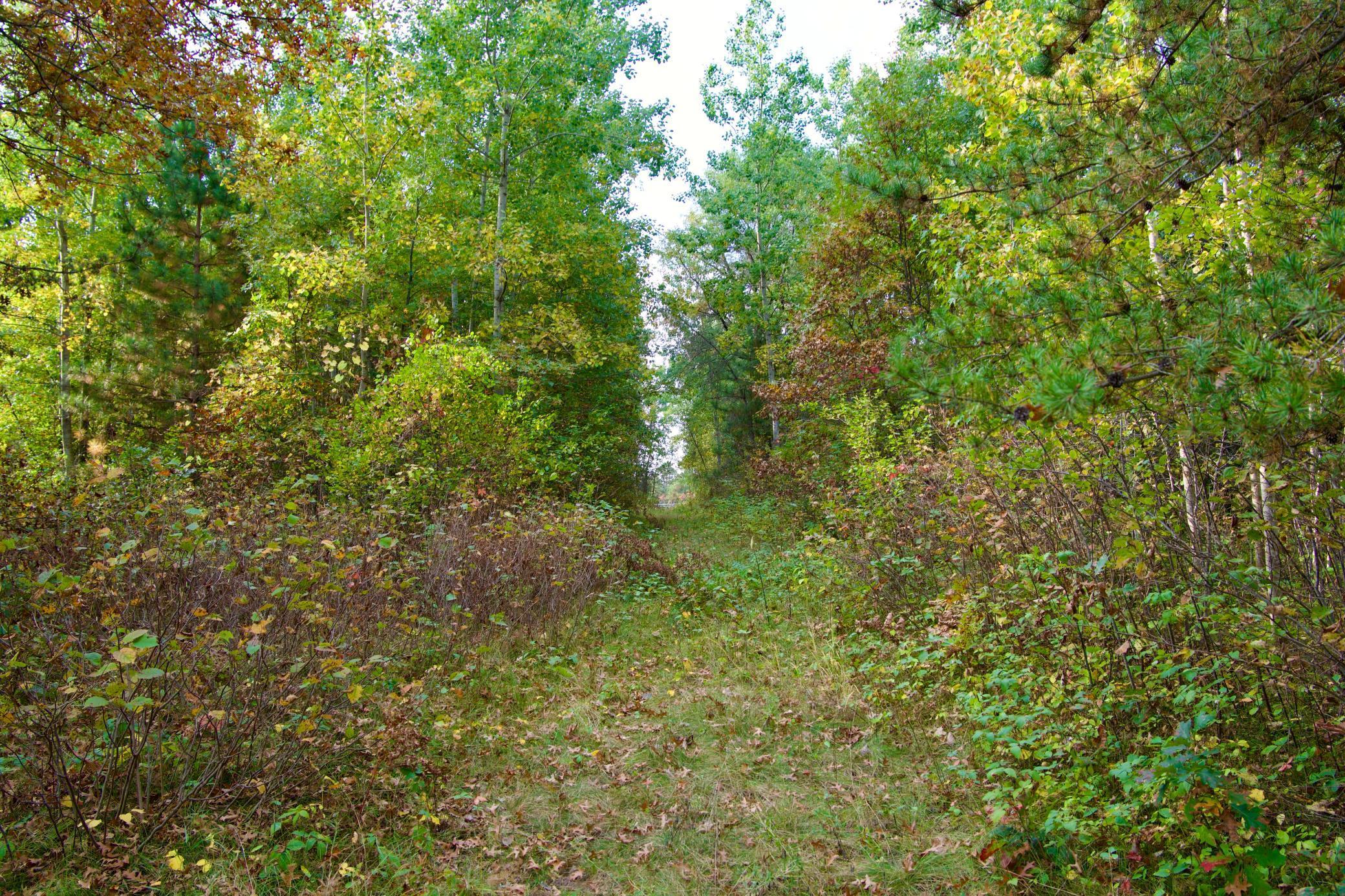 land for sale at Tract A Hwy 371 in Brainerd, MN (photo 6 of 17)