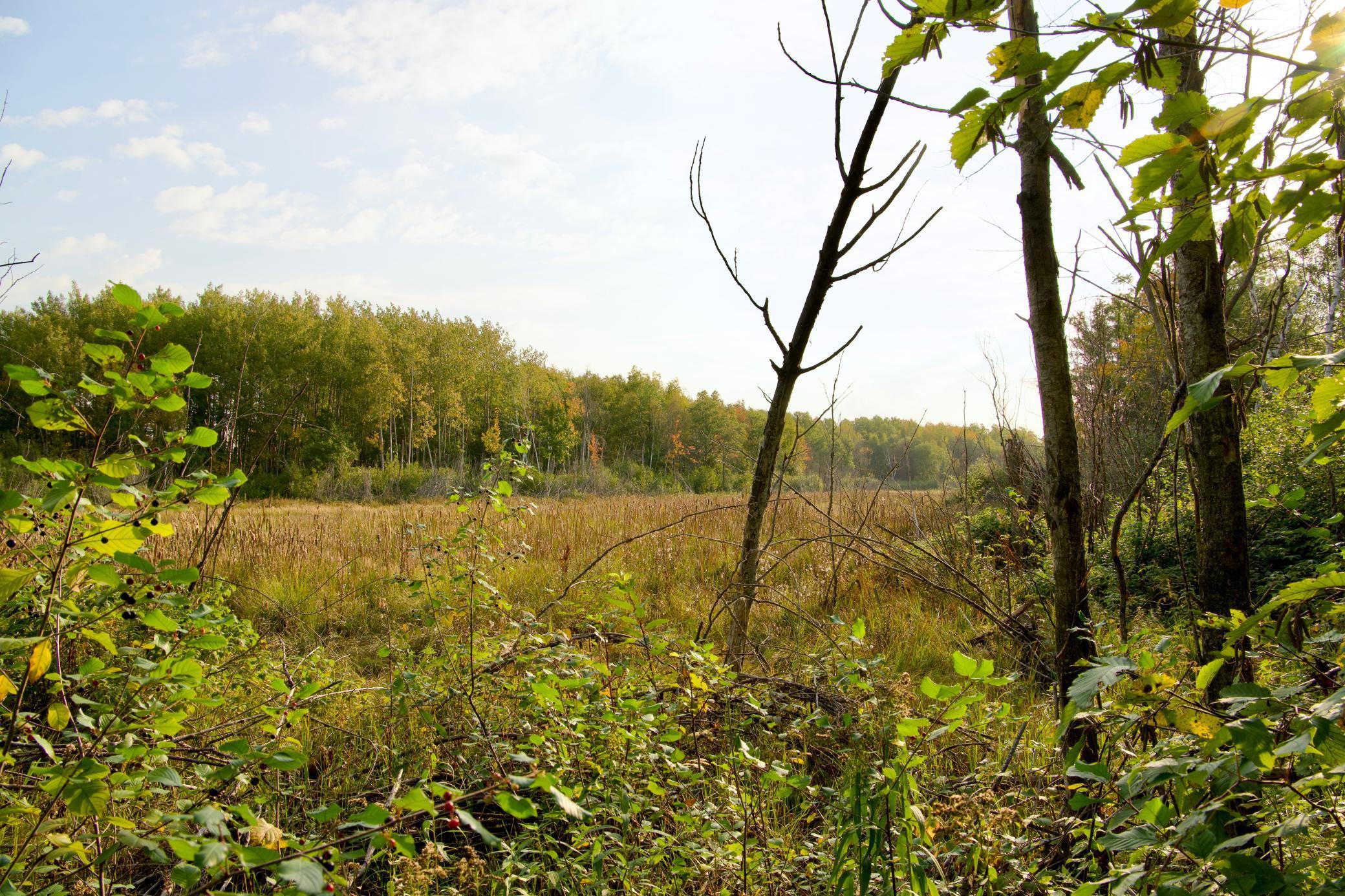 land for sale at Tract A Hwy 371 in Brainerd, MN (photo 10 of 17)