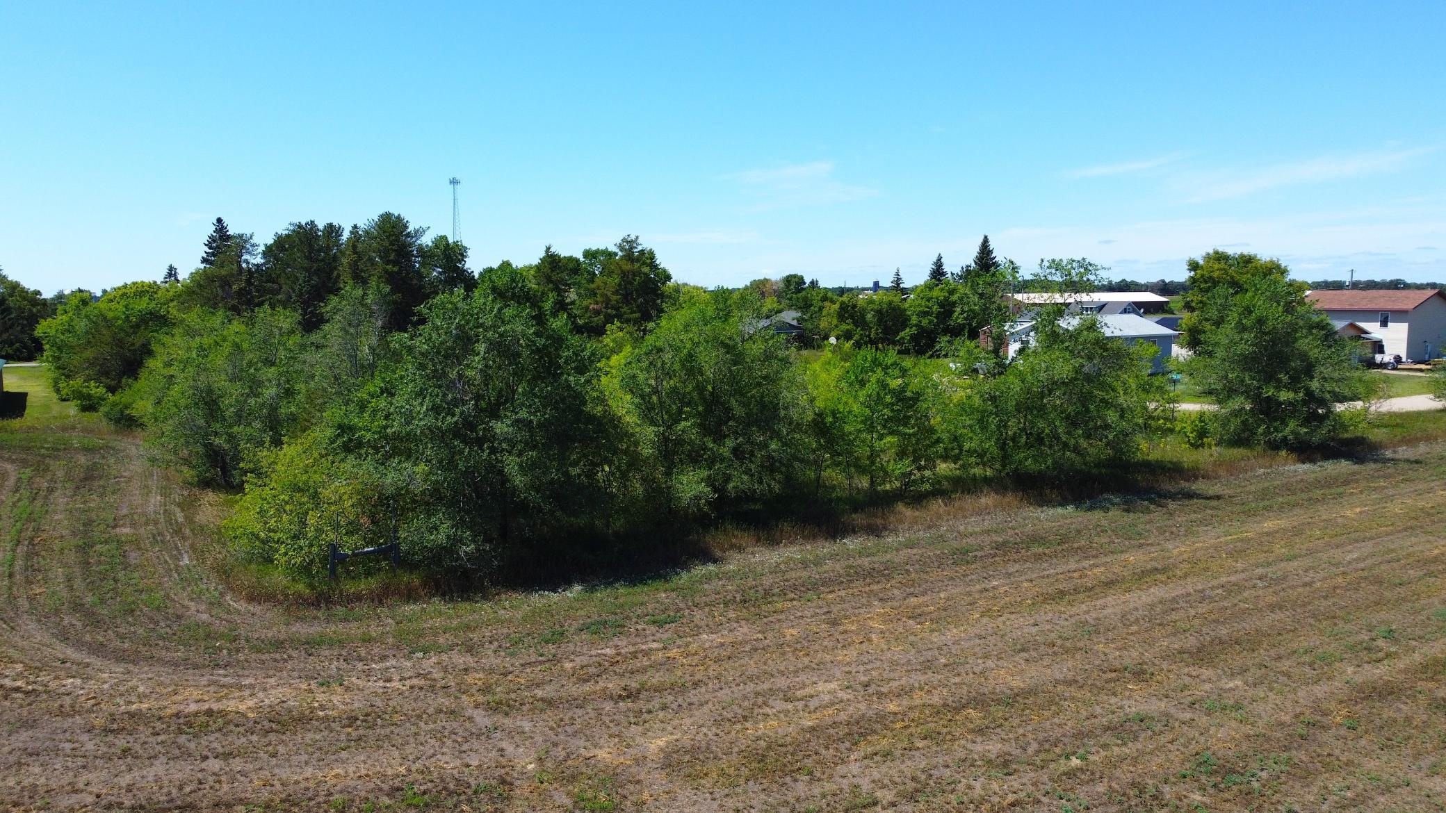 land for sale at 207 china Street in Ottertail, MN (photo 7 of 18)