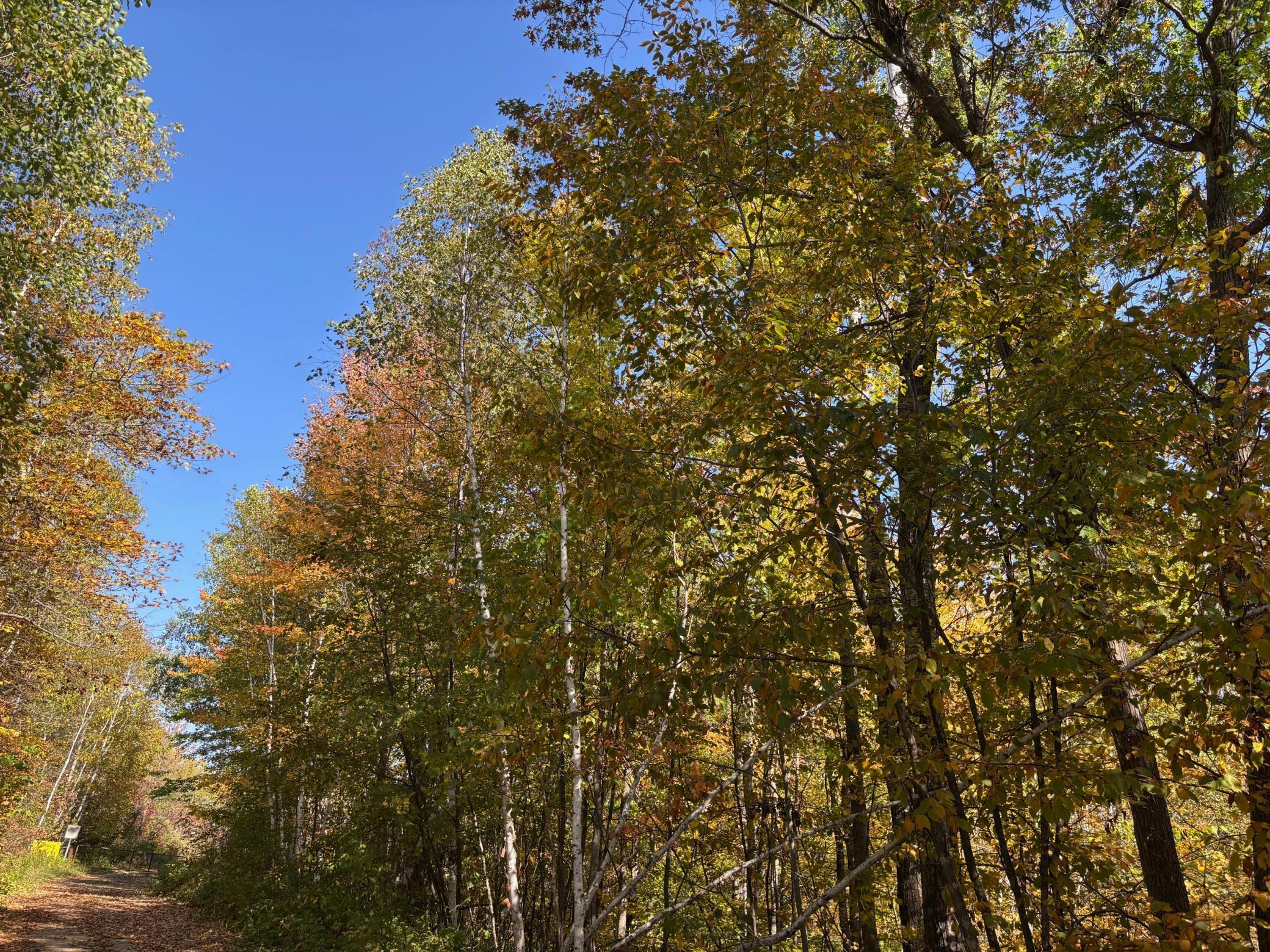 land for sale at TBD County Road 12 in Akeley, MN