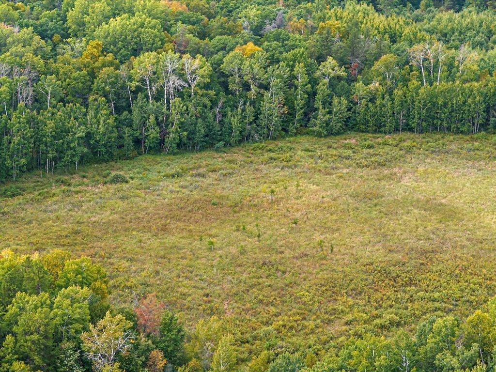 land for sale at Parcel G Horseshoe Lake Rd in Merrifield, MN (photo 14 of 28)