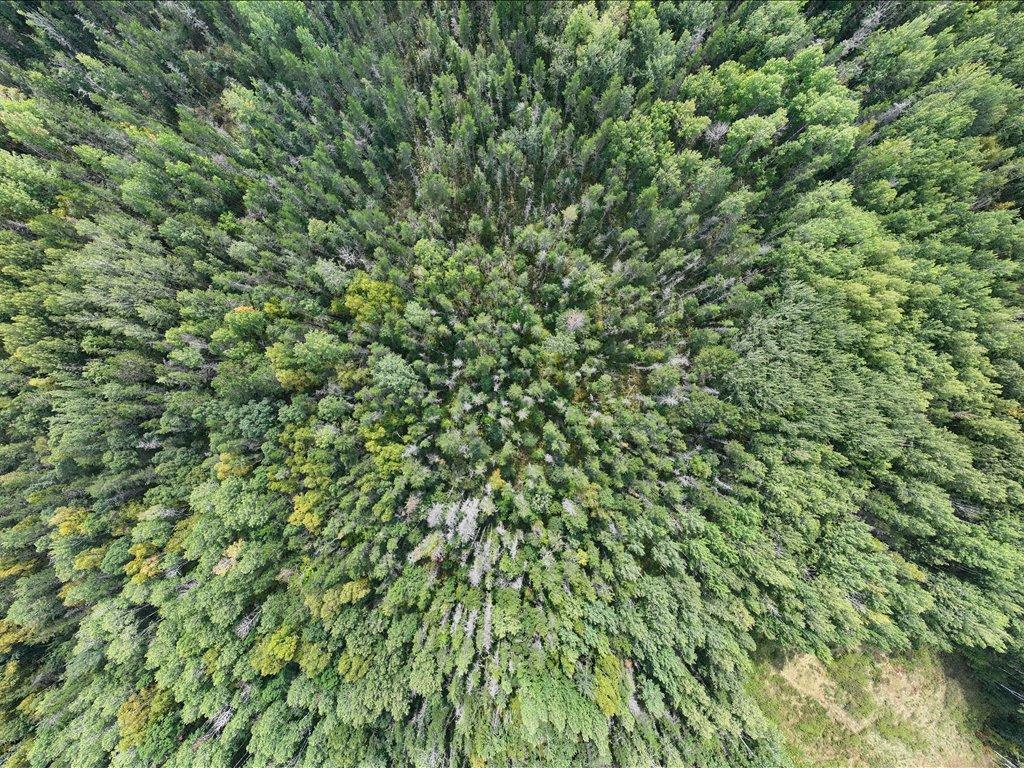 land for sale at Parcel G Horseshoe Lake Rd in Merrifield, MN (photo 26 of 28)