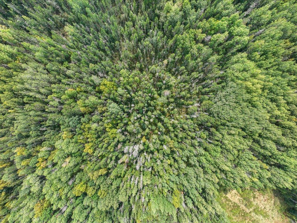 land for sale at Parcel G Horseshoe Lake Rd in Merrifield, MN (photo 28 of 28)