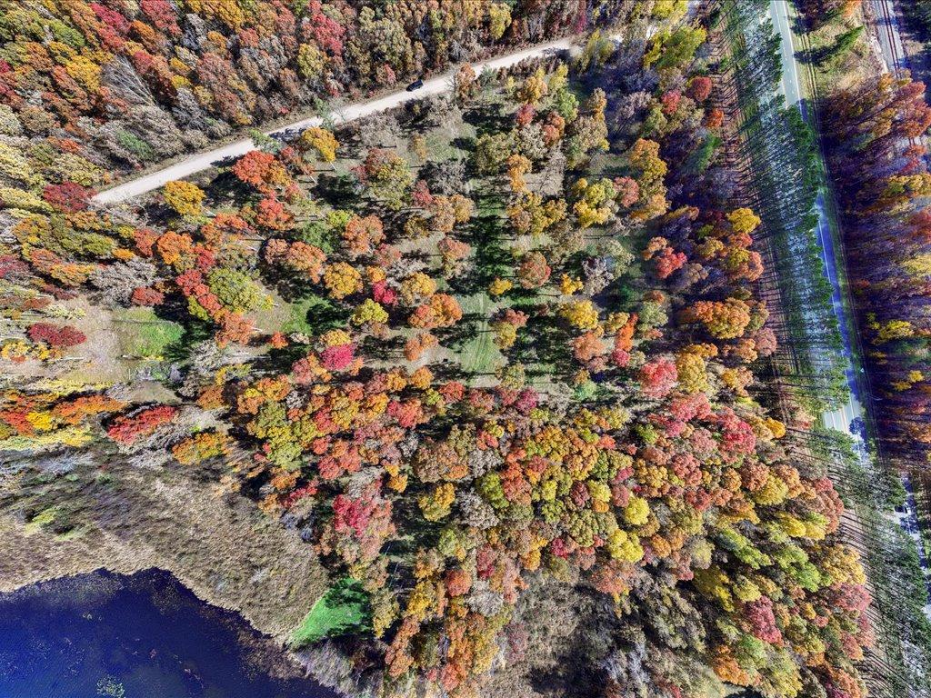 land for sale at 5980 Highway 210 W in Baxter, MN (photo 8 of 19)