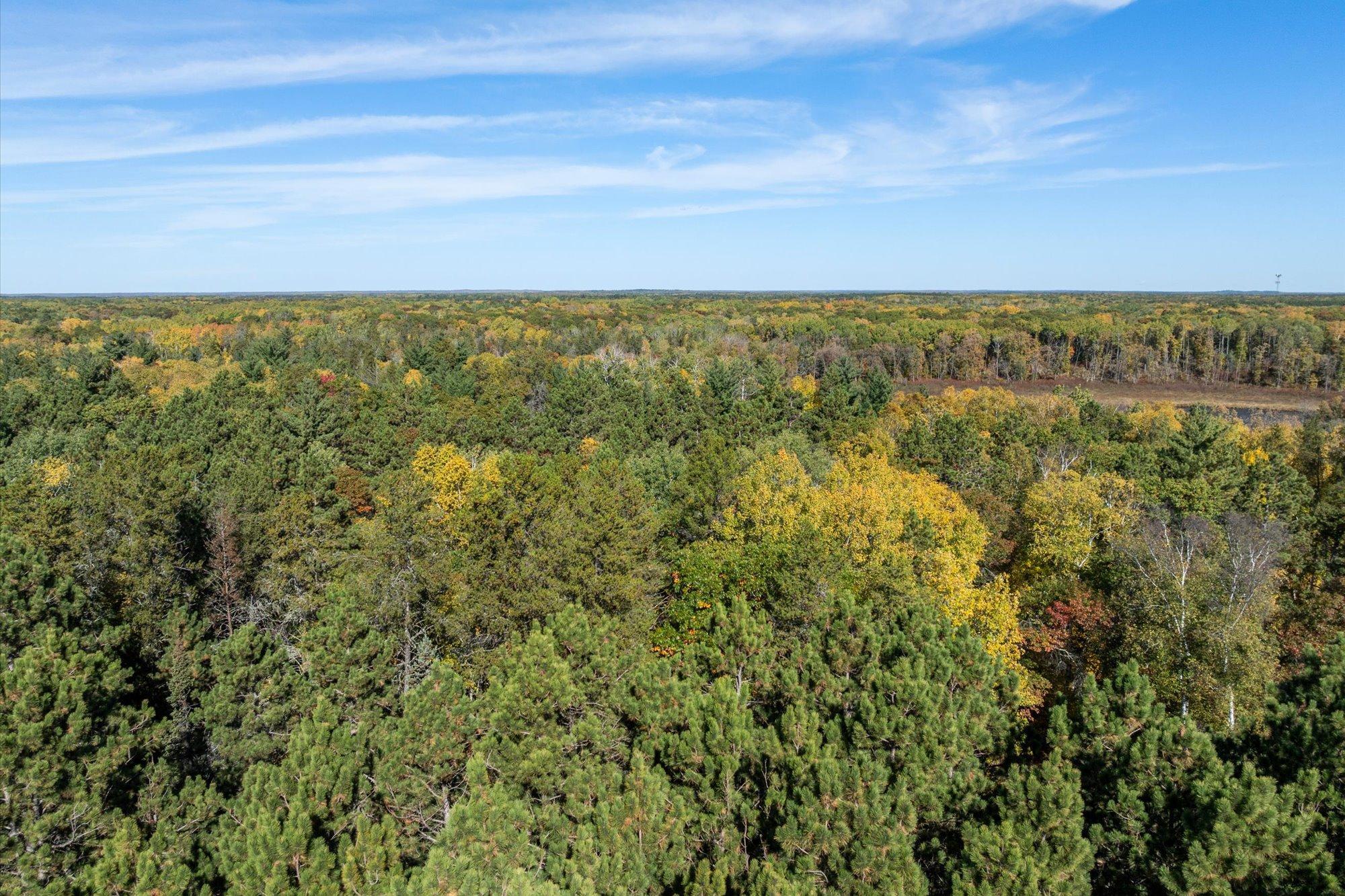 land for sale at Tracts B & C TBD Ossawinnamakee Road in Pequot Lakes, MN (photo 11 of 12)