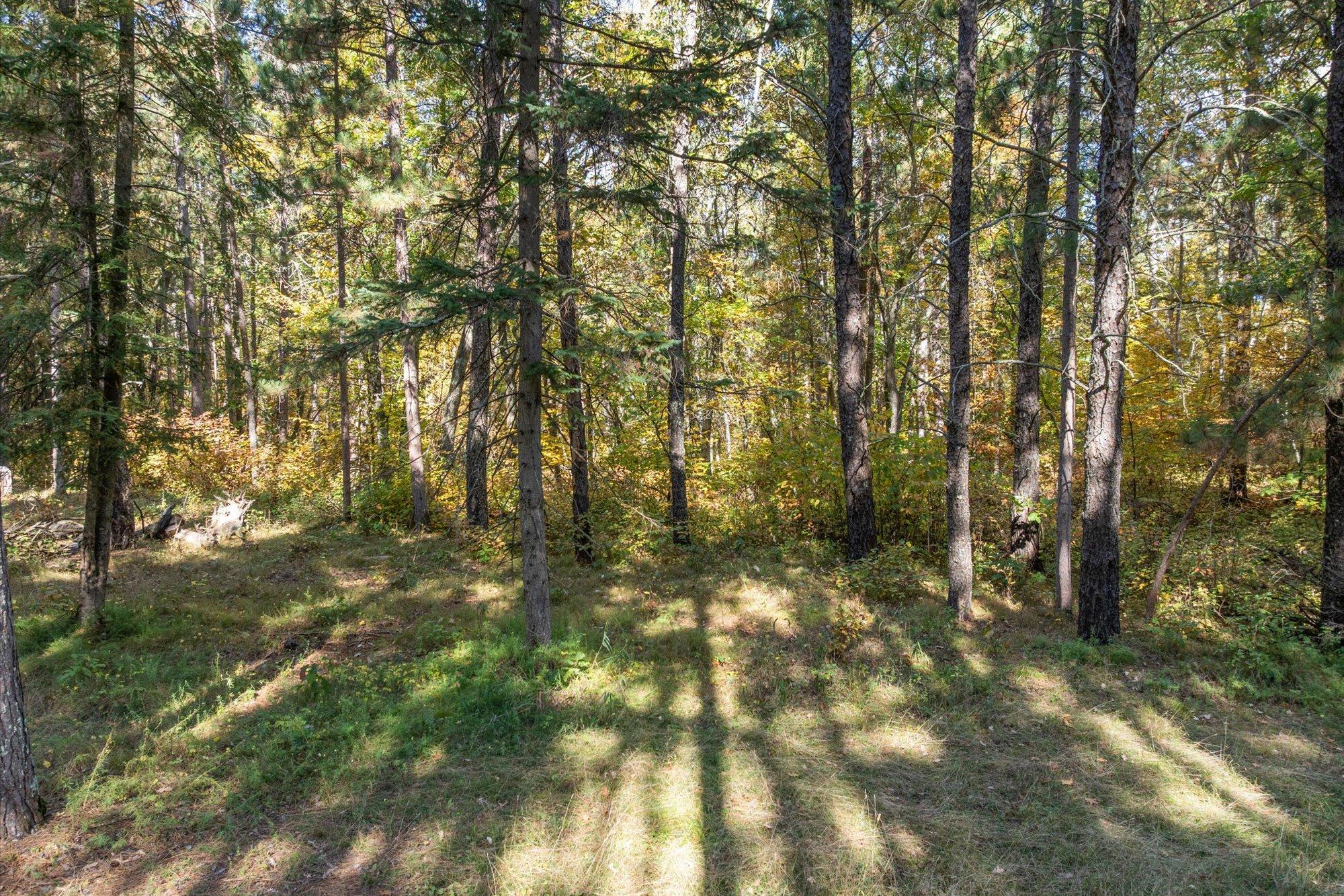 land for sale at Tracts B & C TBD Ossawinnamakee Road in Pequot Lakes, MN (photo 12 of 12)
