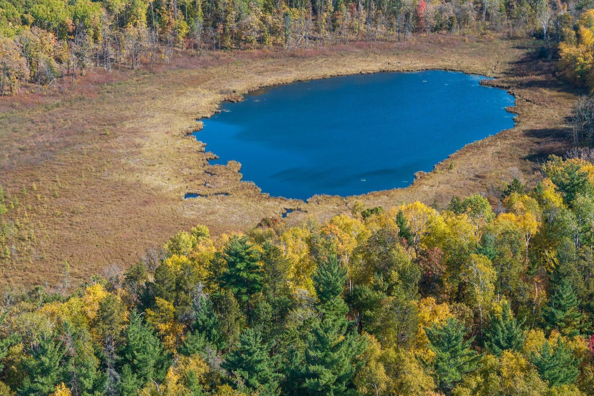 land for sale at Tracts B & C TBD Ossawinnamakee Road in Pequot Lakes, MN (photo 5 of 12)