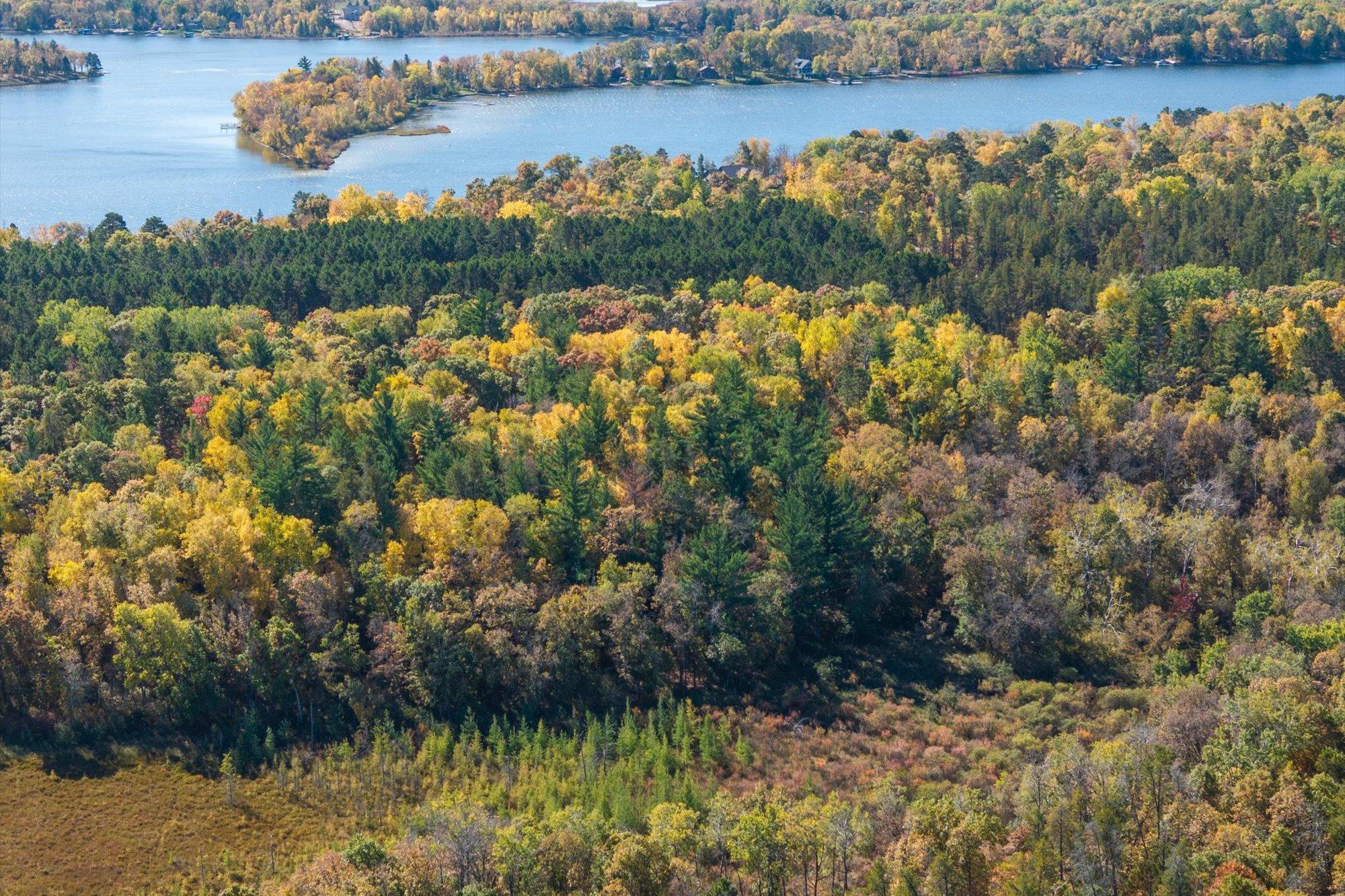 land for sale at Tracts B & C TBD Ossawinnamakee Road in Pequot Lakes, MN (photo 7 of 12)