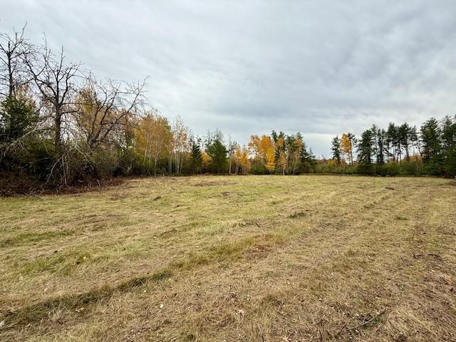 land for sale at TBD Inglewood Drive in Baxter, MN (photo 7 of 13)