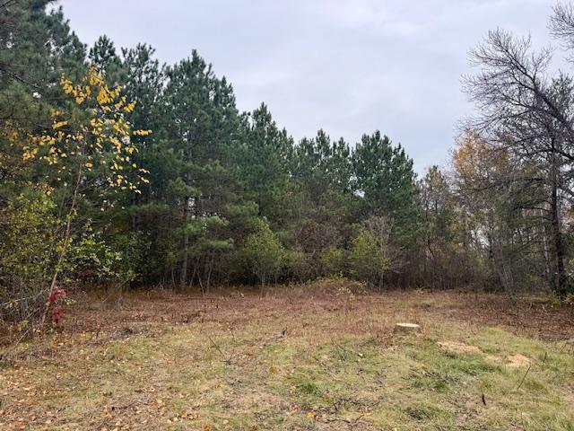 land for sale at TBD Inglewood Drive in Baxter, MN (photo 8 of 13)