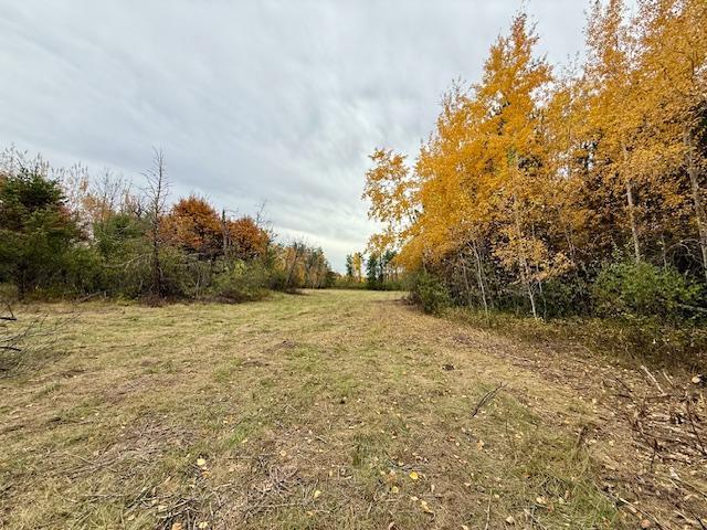 land for sale at TBD Inglewood Drive in Baxter, MN (photo 9 of 13)