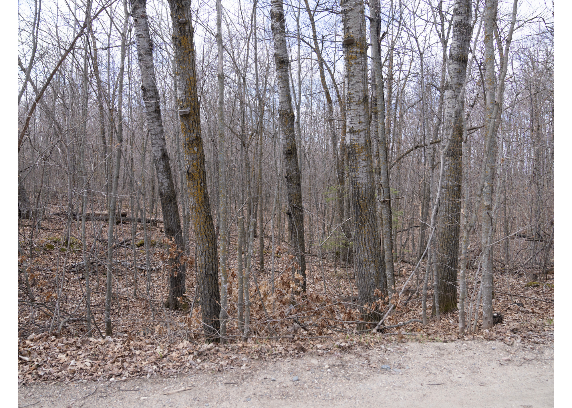 land for sale at TBD TBD in Naytahwaush, MN (photo 17 of 19)