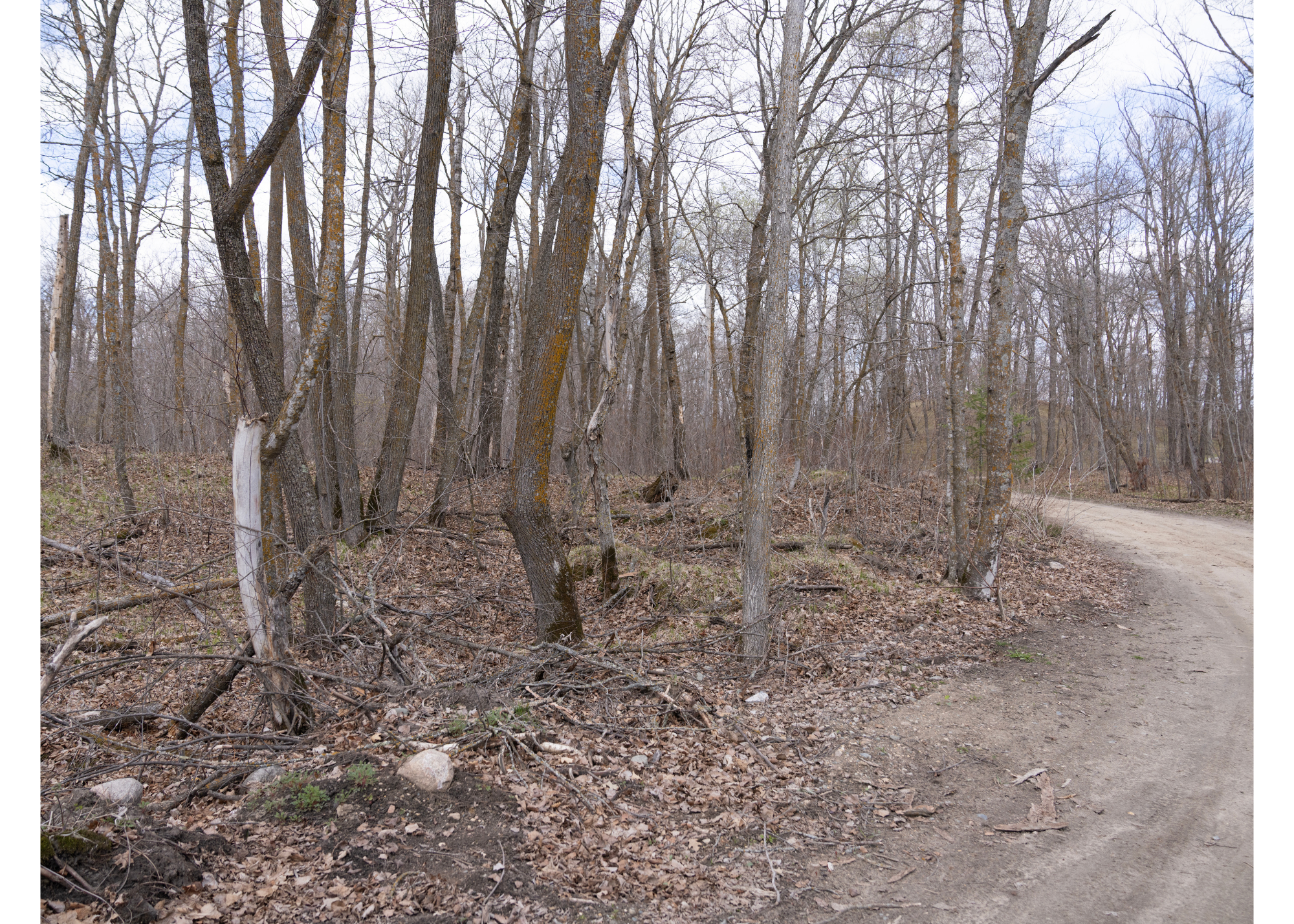 land for sale at TBD TBD in Naytahwaush, MN (photo 19 of 19)