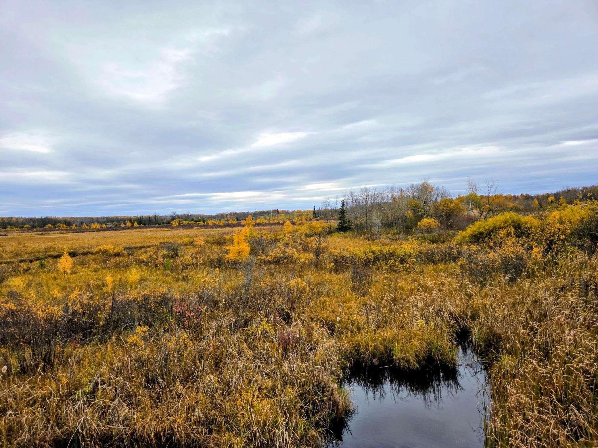 land for sale at 111 ATV Snowmobile Trail Bridge in Blackduck, MN