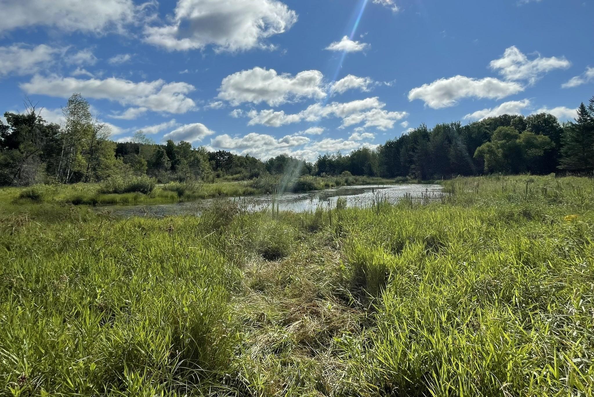 land for sale at 6552 Austin Road in Baxter, MN (photo 7 of 14)