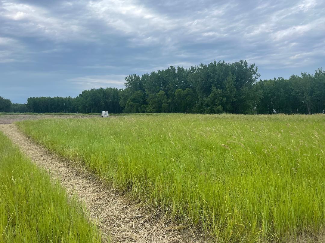 land for sale at 10220 State Hwy 9 S in Barnesville, MN