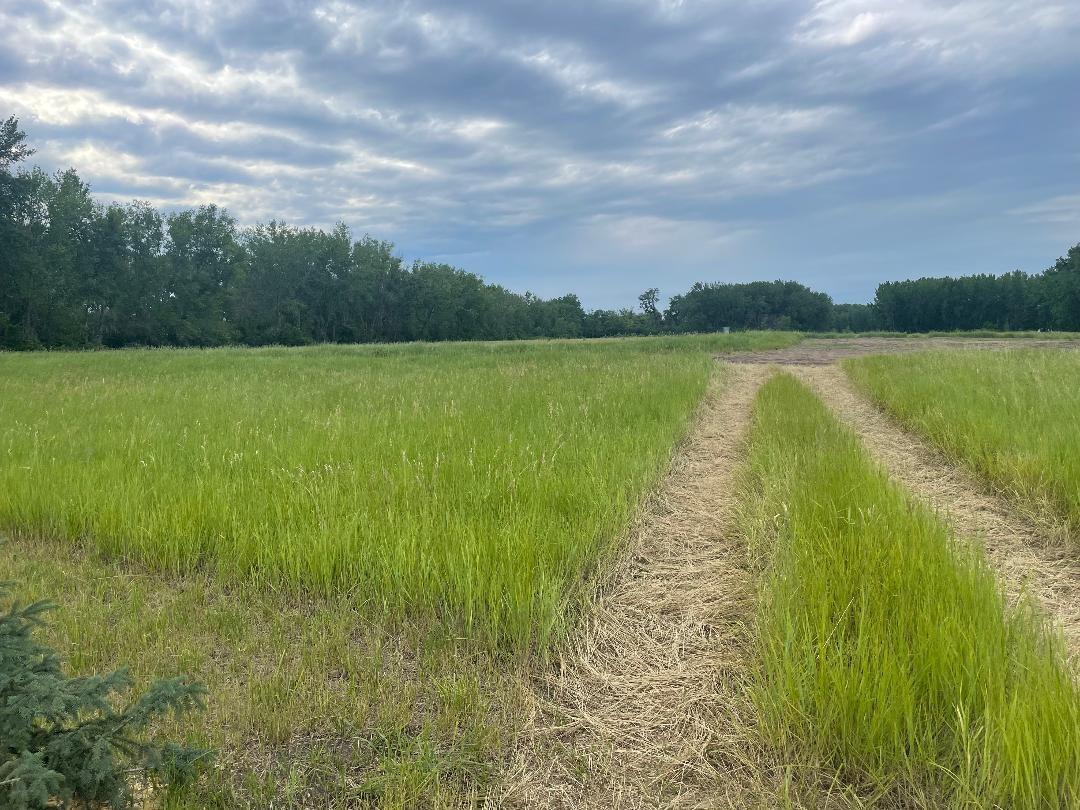 land for sale at 10220 State Hwy 9 S in Barnesville, MN (photo 2 of 5)