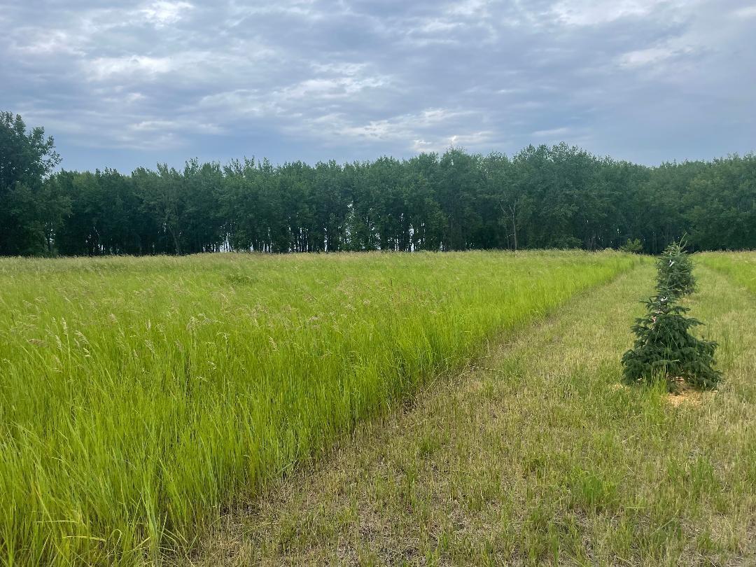 land for sale at 10220 State Hwy 9 S in Barnesville, MN (photo 4 of 5)