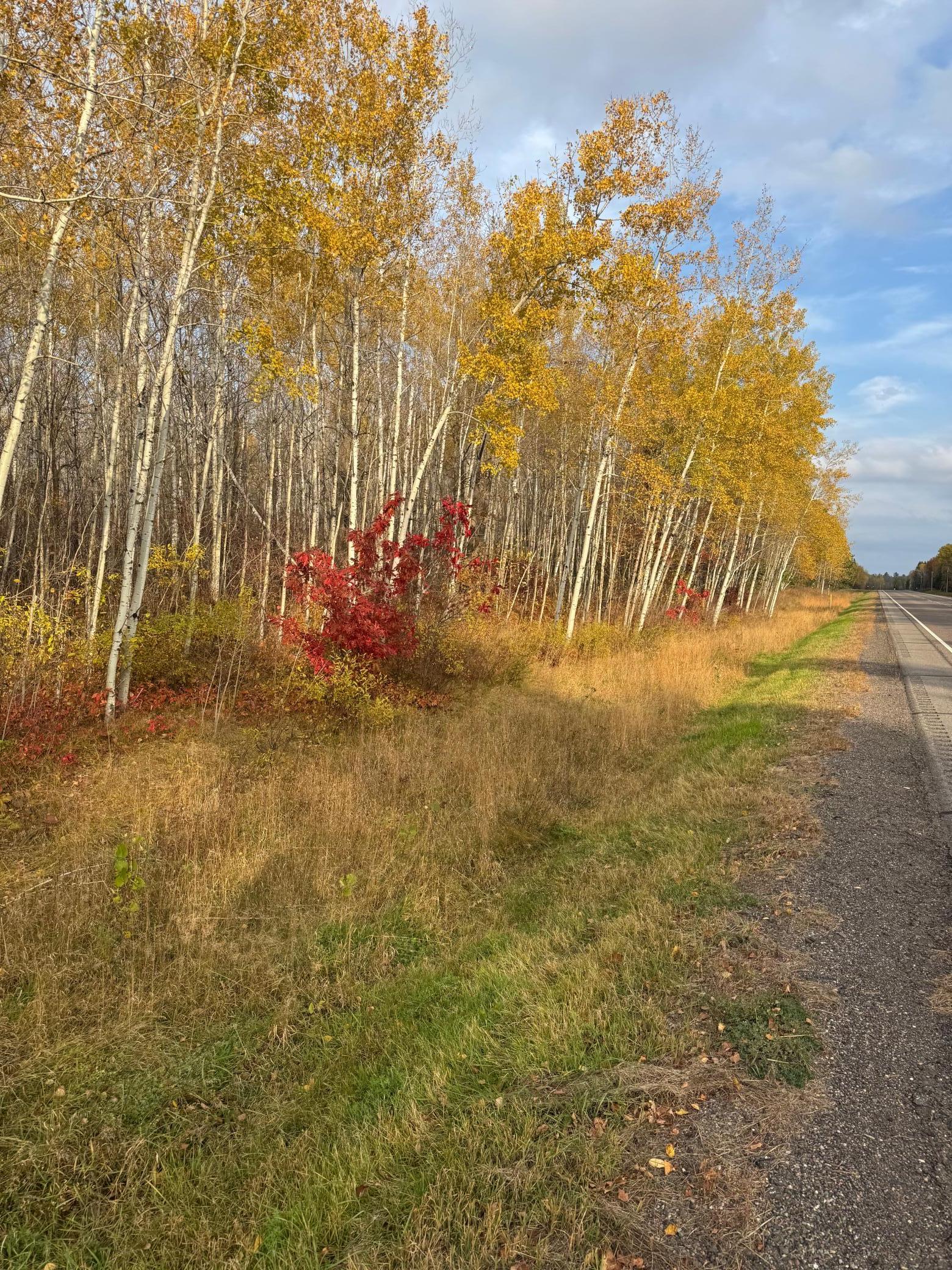18686 State Highway 200, Jacobson MN 55752 - Photo 2 of 3