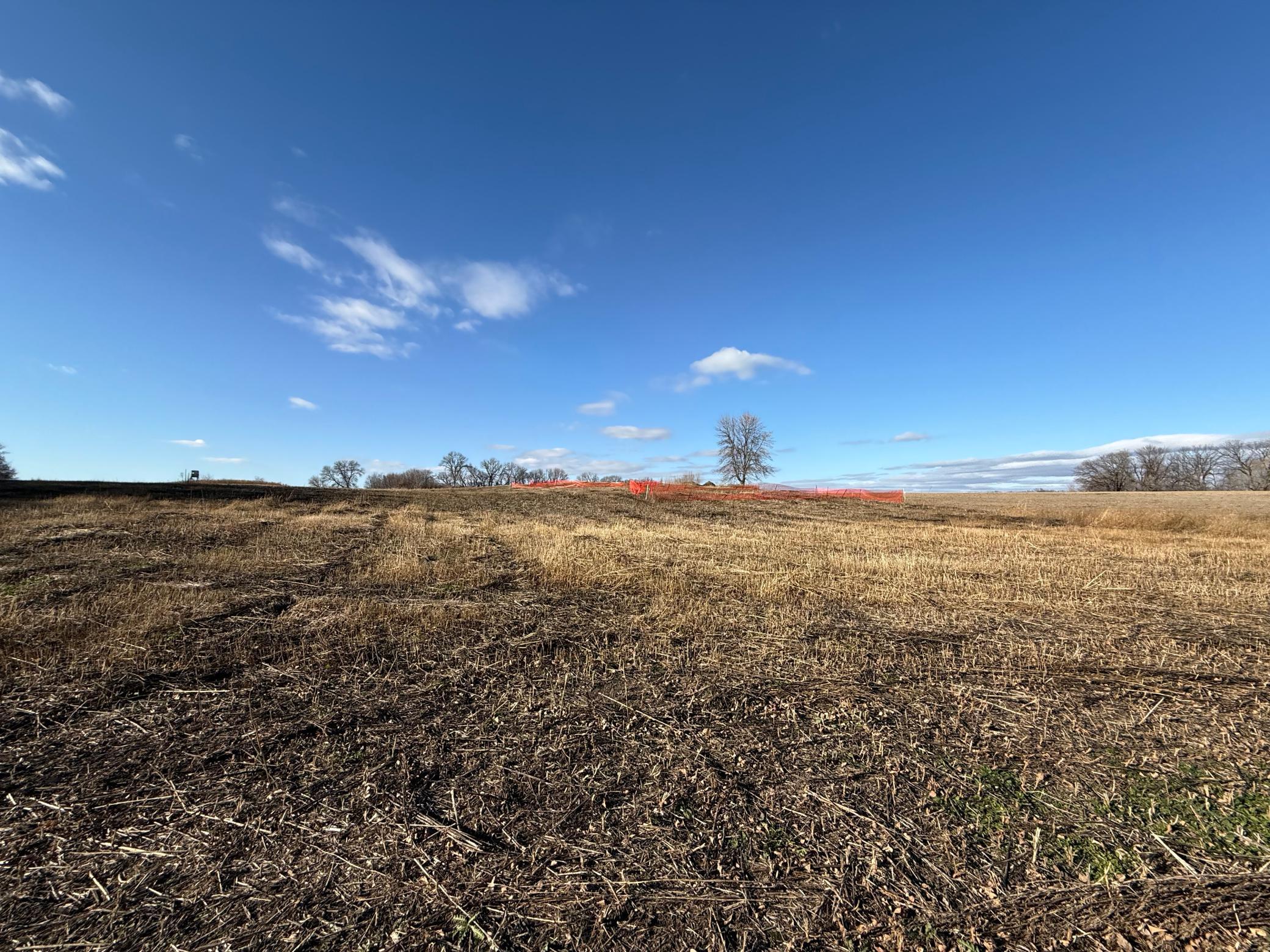 land for sale at Lot 1, Block 1 Alivia's Avenue in Pelican Rapids, MN (photo 5 of 12)