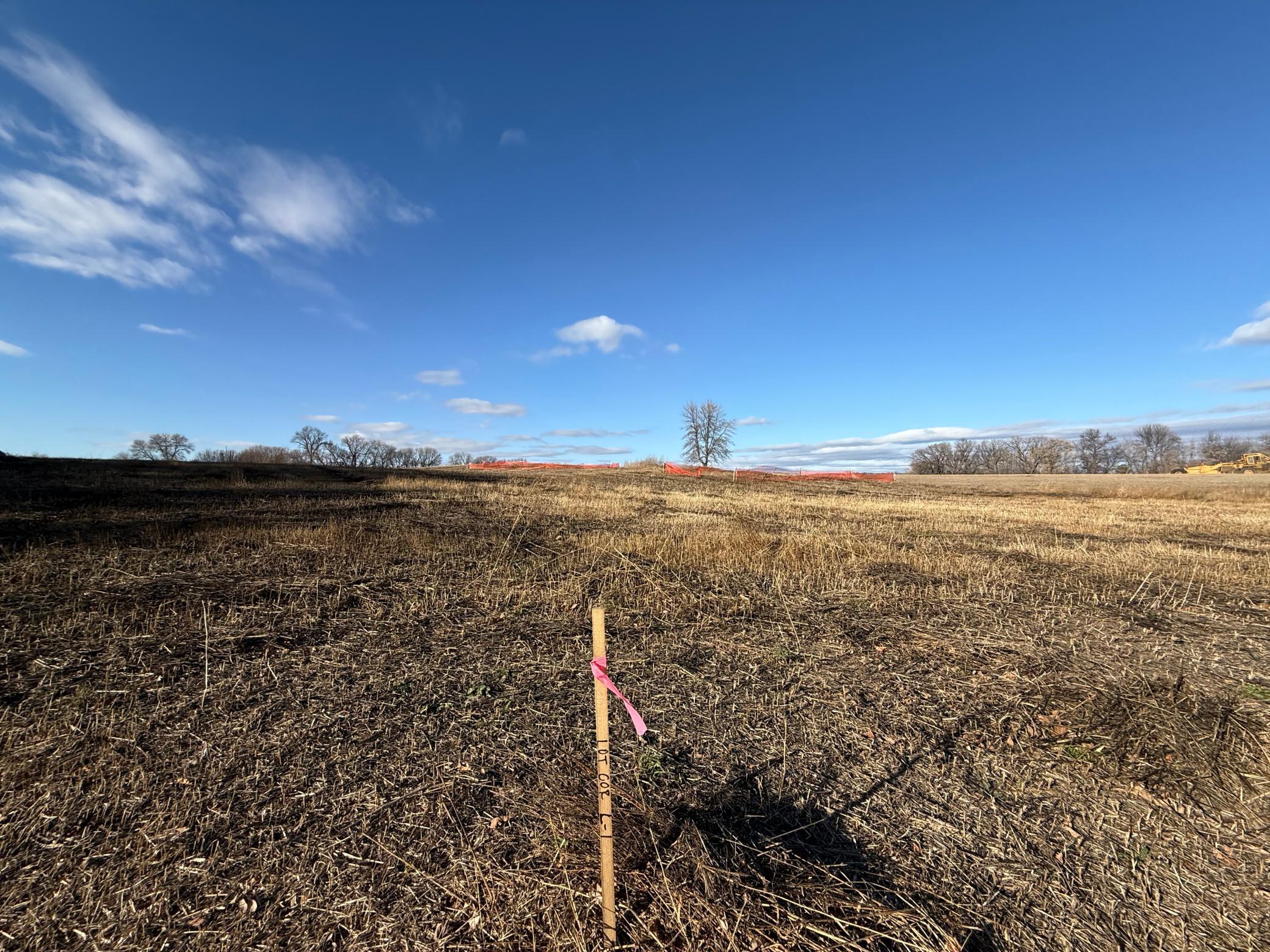 land for sale at Lot 1, Block 1 Alivia's Avenue in Pelican Rapids, MN (photo 6 of 12)