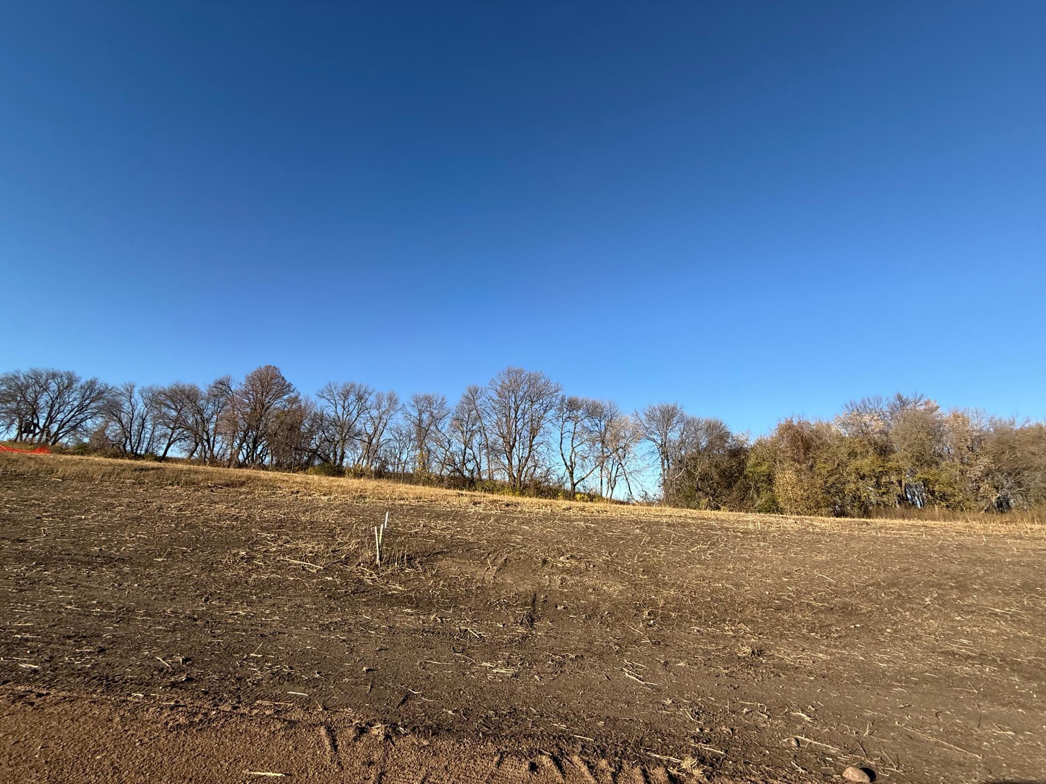 land for sale at Lot 1, Block 2 Alivia's Avenue in Pelican Rapids, MN (photo 5 of 9)