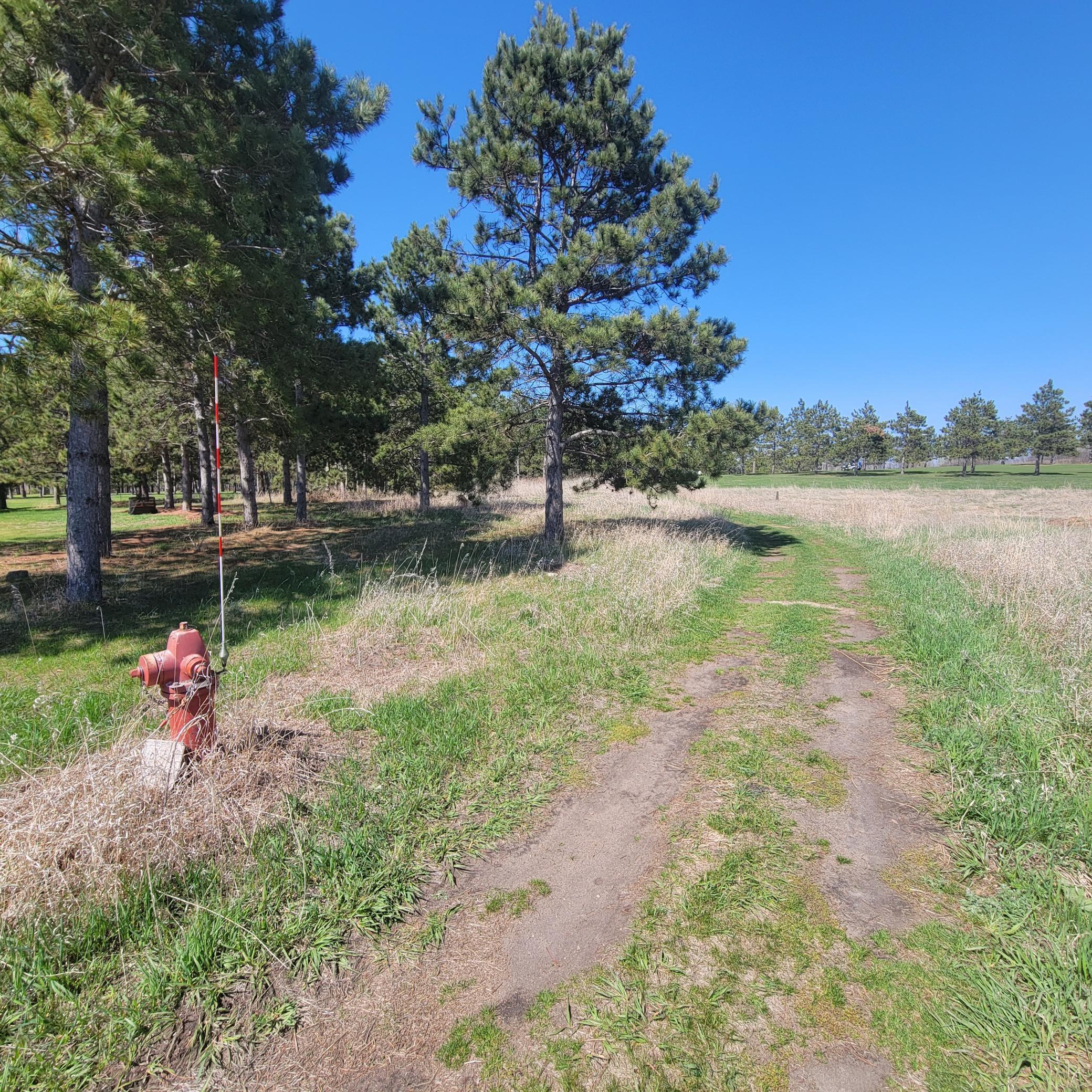 land for sale at 510 Thumper Lodge Road in Ottertail, MN (photo 5 of 12)