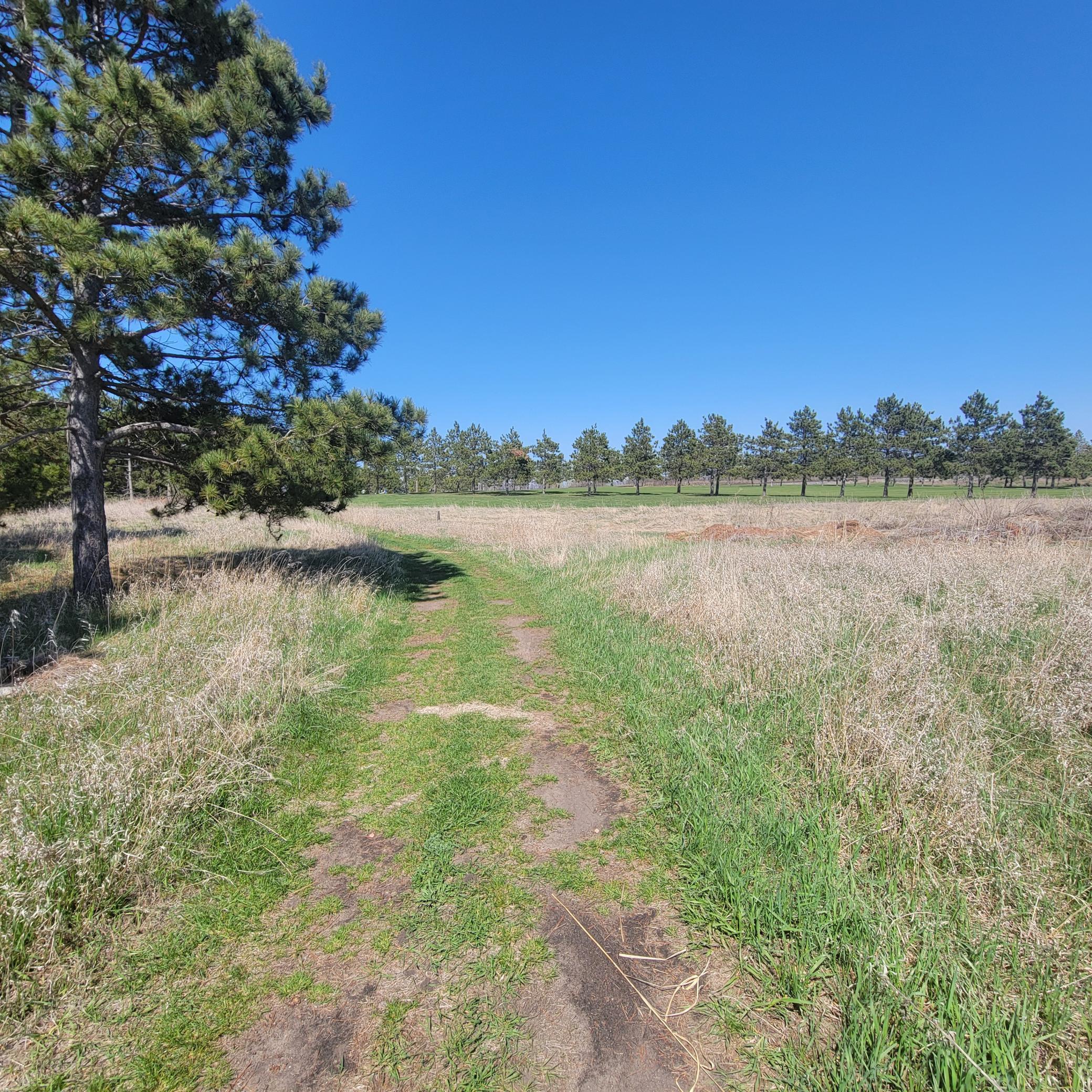 land for sale at 510 Thumper Lodge Road in Ottertail, MN (photo 6 of 12)