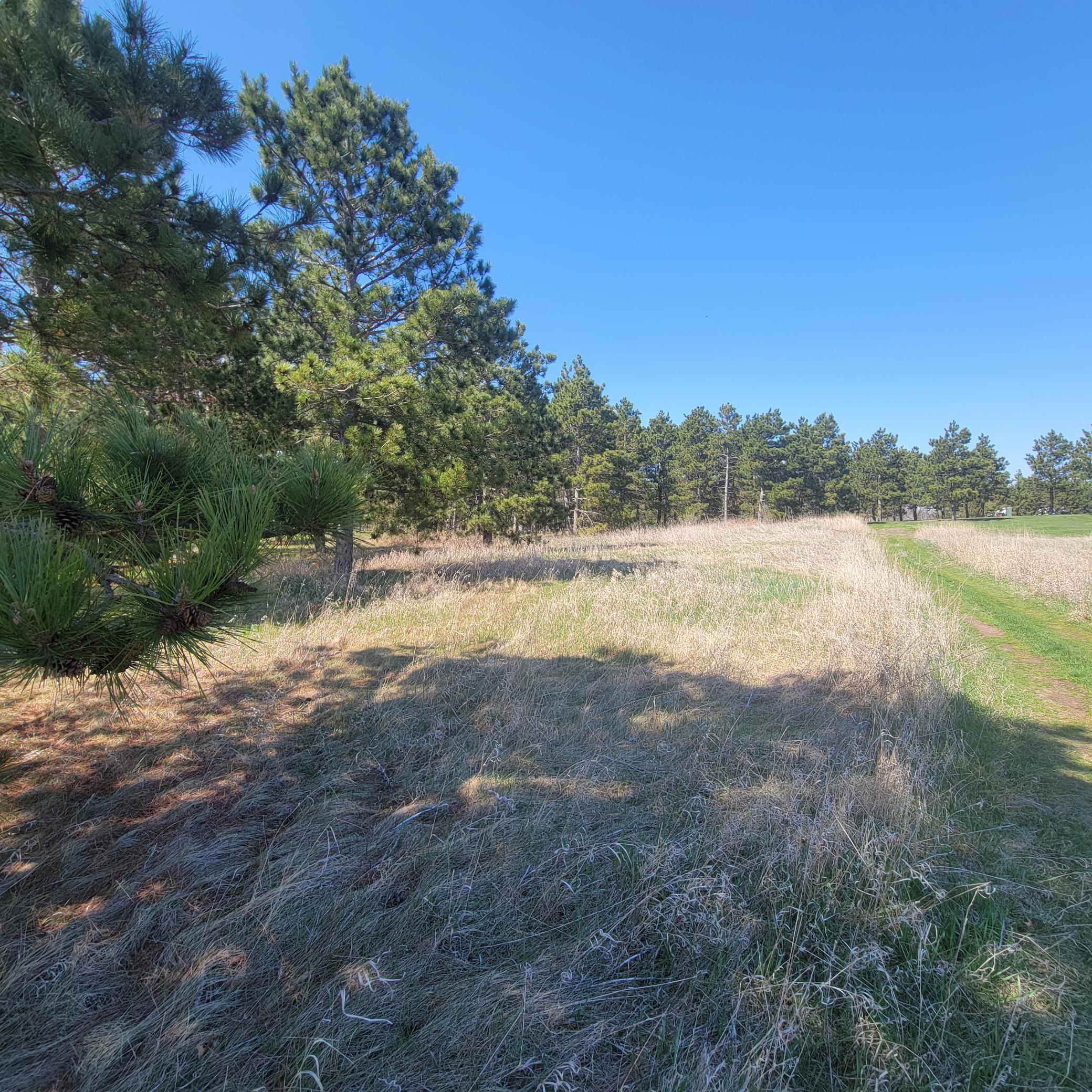 land for sale at 510 Thumper Lodge Road in Ottertail, MN (photo 7 of 12)