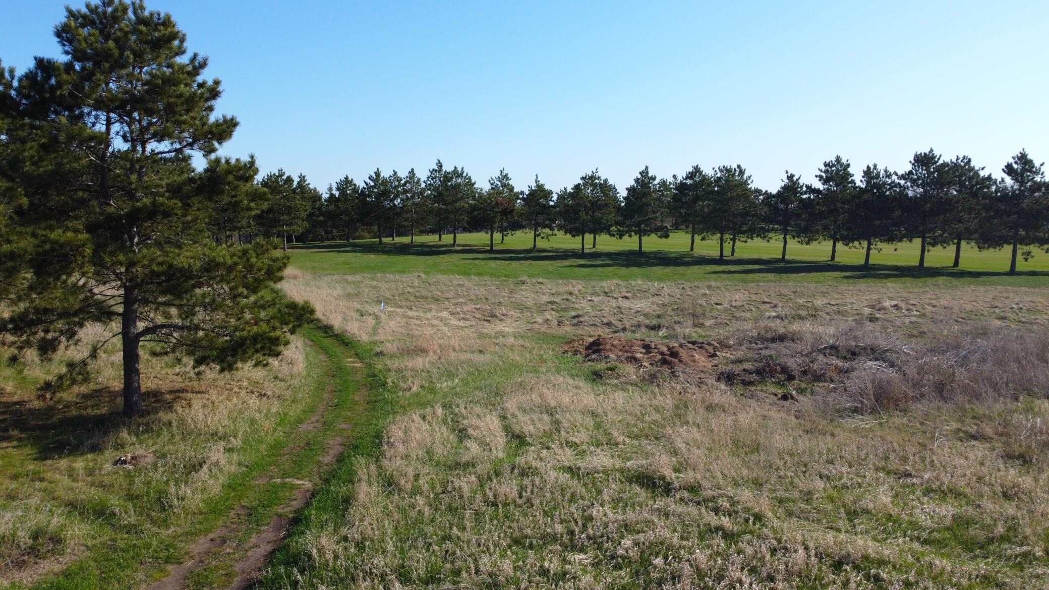land for sale at 510 Thumper Lodge Road in Ottertail, MN (photo 8 of 12)