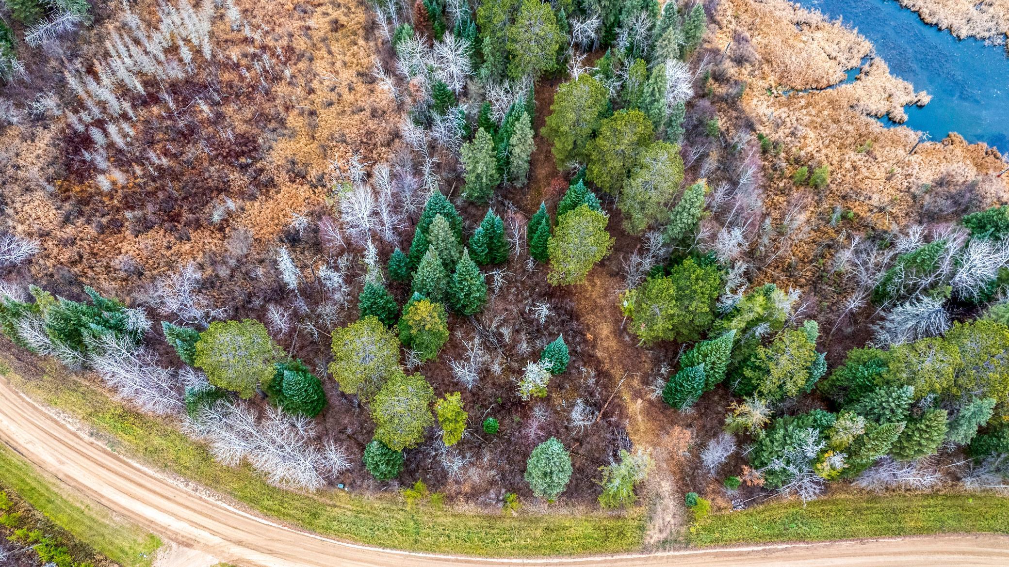 land for sale at TBD Edgewater Drive NW in Bemidji, MN (photo 3 of 17)
