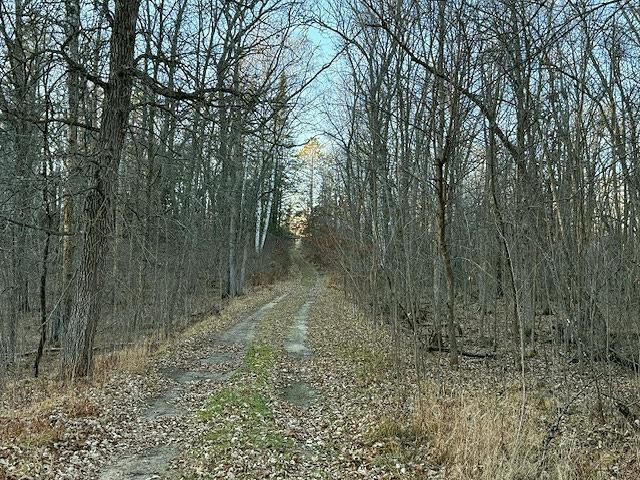 1955 land for sale at 24965 Hammock Trail in Park Rapids, MN (photo 2 of 56)