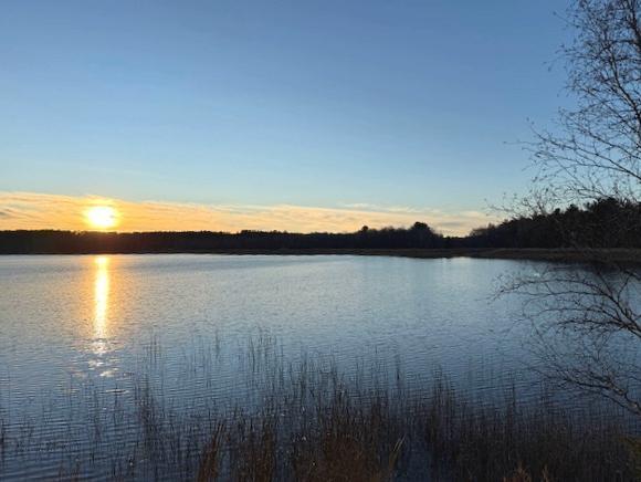 1955 land for sale at 24965 Hammock Trail in Park Rapids, MN (photo 11 of 56)