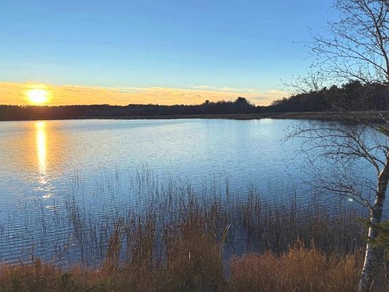 1955 land for sale at 24965 Hammock Trail in Park Rapids, MN (photo 12 of 56)