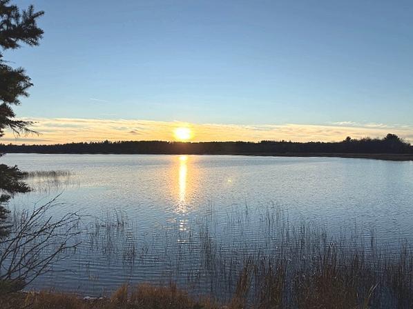 1955 land for sale at 24965 Hammock Trail in Park Rapids, MN (photo 13 of 56)