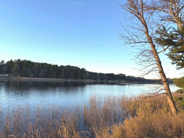1955 land for sale at 24965 Hammock Trail in Park Rapids, MN (photo 14 of 56)