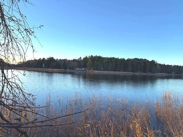 1955 land for sale at 24965 Hammock Trail in Park Rapids, MN (photo 15 of 56)