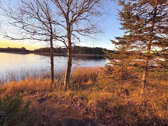 1955 land for sale at 24965 Hammock Trail in Park Rapids, MN (photo 18 of 56)