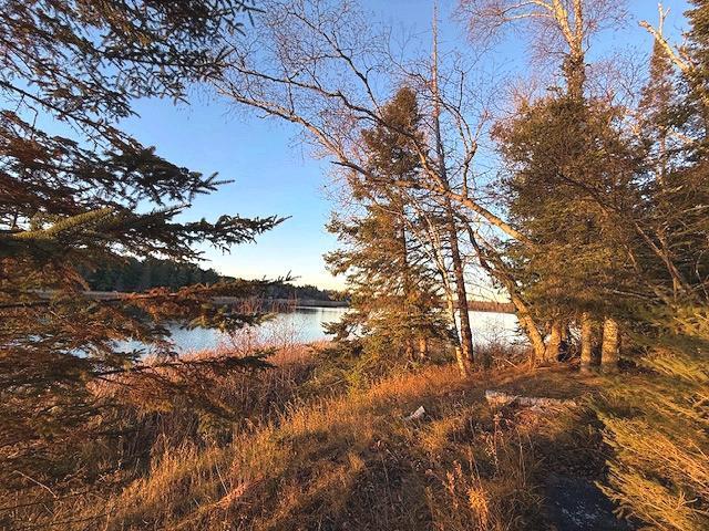 1955 land for sale at 24965 Hammock Trail in Park Rapids, MN (photo 20 of 56)