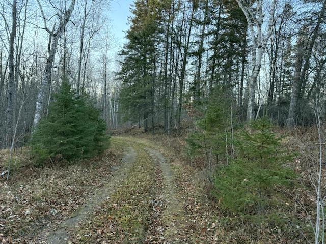 1955 land for sale at 24965 Hammock Trail in Park Rapids, MN (photo 3 of 56)