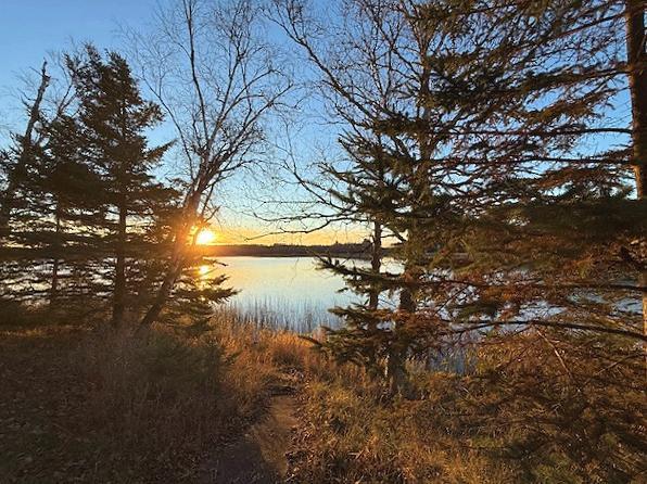 1955 land for sale at 24965 Hammock Trail in Park Rapids, MN (photo 21 of 56)