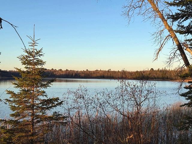 1955 land for sale at 24965 Hammock Trail in Park Rapids, MN (photo 22 of 56)