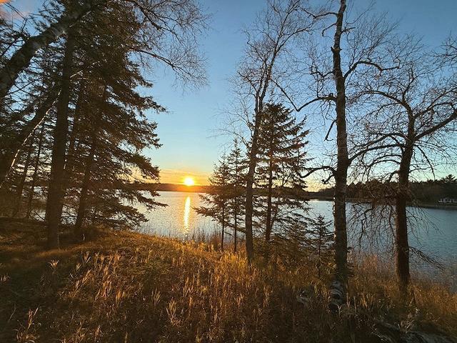 1955 land for sale at 24965 Hammock Trail in Park Rapids, MN (photo 29 of 56)