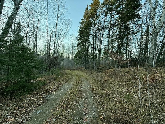 1955 land for sale at 24965 Hammock Trail in Park Rapids, MN (photo 4 of 56)