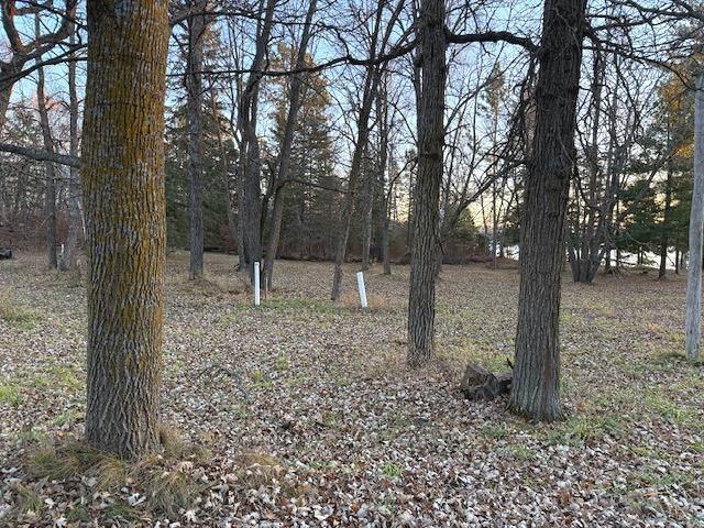 1955 land for sale at 24965 Hammock Trail in Park Rapids, MN (photo 35 of 56)