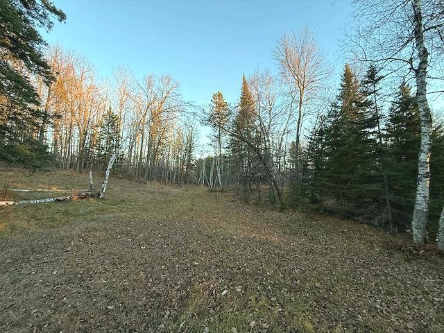 1955 land for sale at 24965 Hammock Trail in Park Rapids, MN (photo 37 of 56)