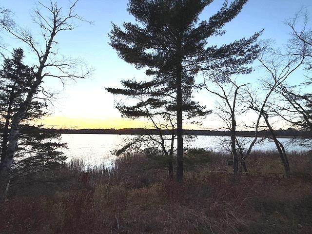 1955 land for sale at 24965 Hammock Trail in Park Rapids, MN (photo 39 of 56)